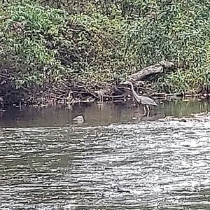 Meet your Posher, Sonya